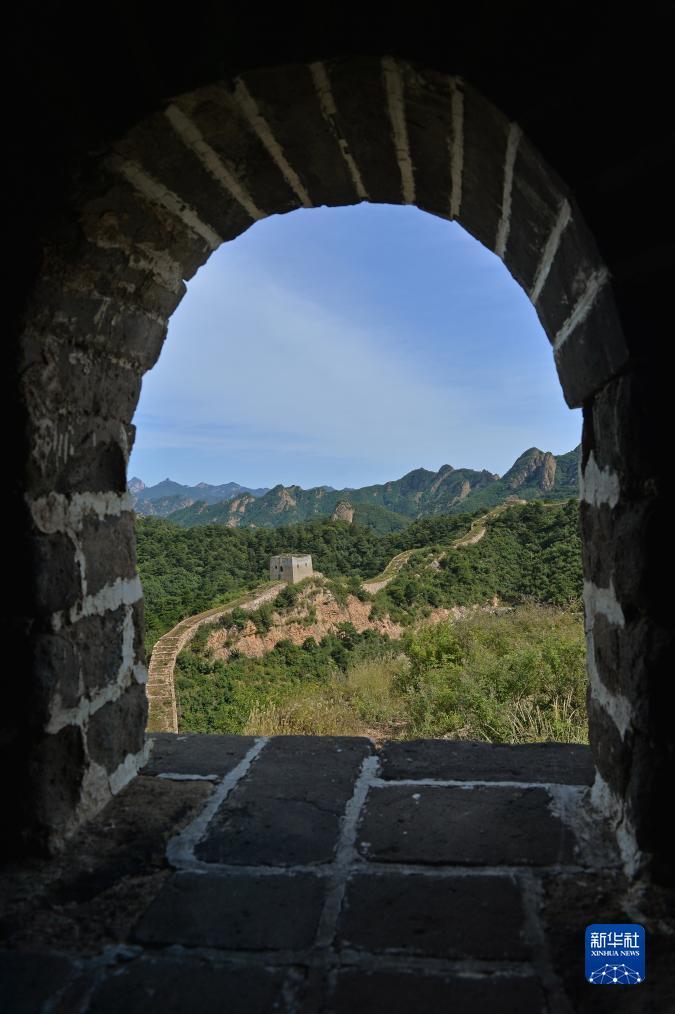 皇冠9393的网址是多少